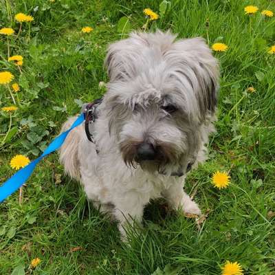 Fotowettbewerb zum Thema "Sonne"-Beitrag-Bild