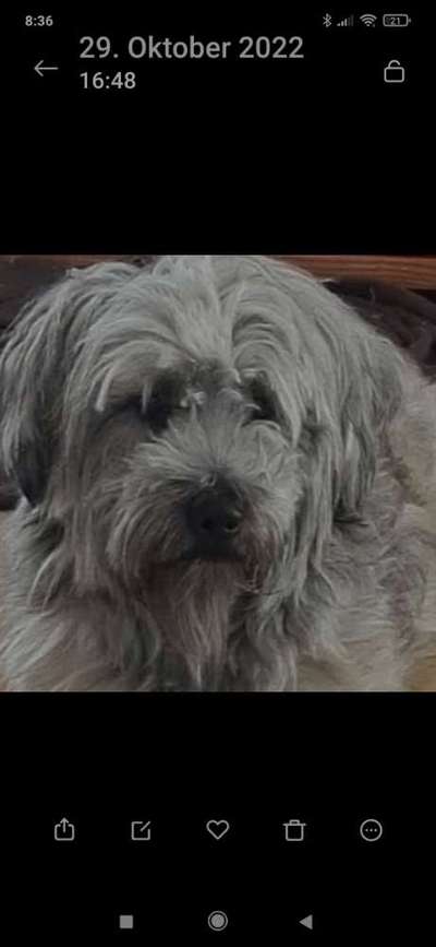 23. Collagen-Challenge: Portraits-Beitrag-Bild