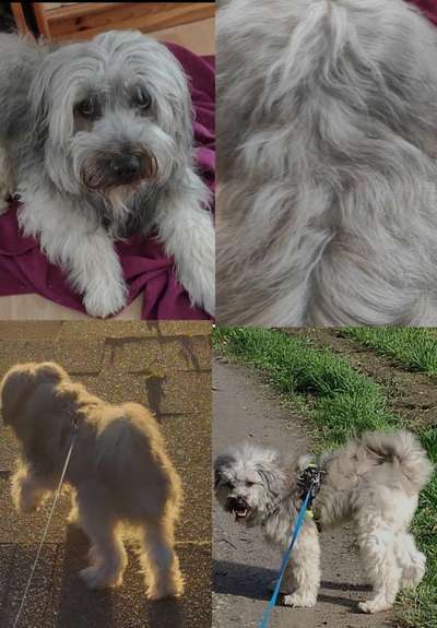 53. Collage Challenge - Verschiedene Blickwinkel-Beitrag-Bild