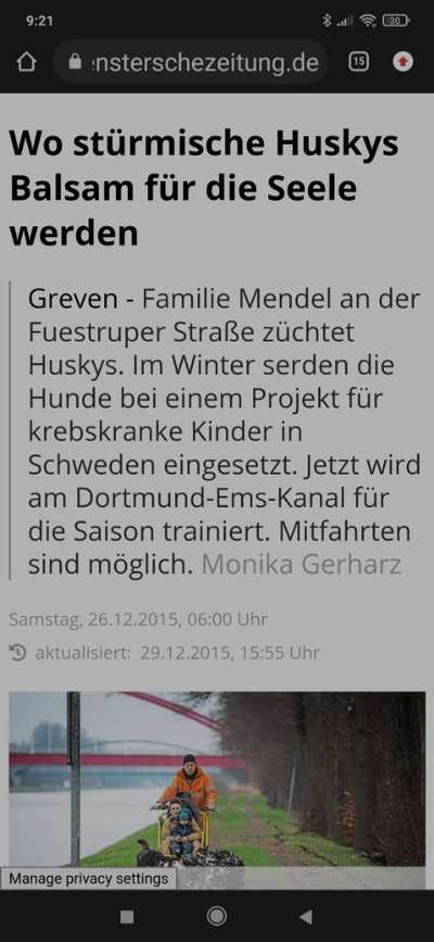 Hundeschlittenrennen und Training im Sommer-Beitrag-Bild