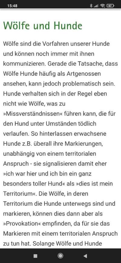 Wolfsbegegnung-Beitrag-Bild