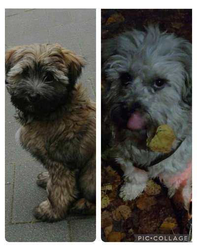 28. Handy-Fotochallenge - Damals und heute-Beitrag-Bild