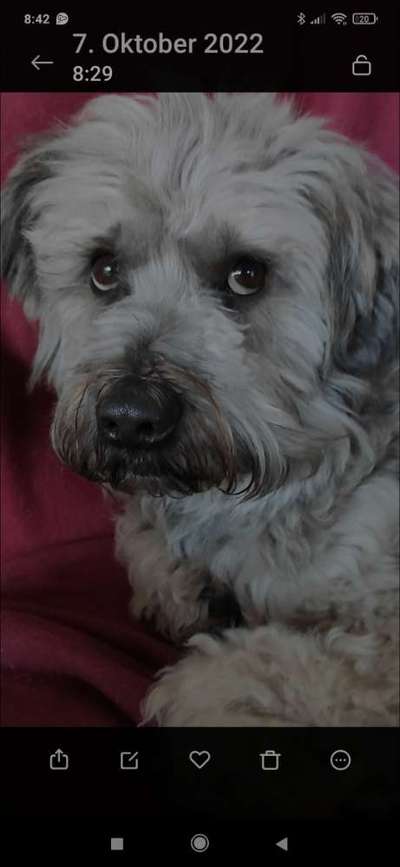 23. Collagen-Challenge: Portraits-Beitrag-Bild