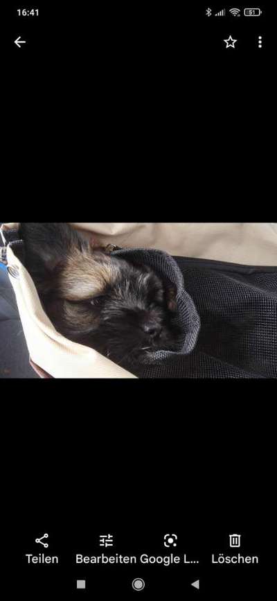 Ton in Ton-Beitrag-Bild