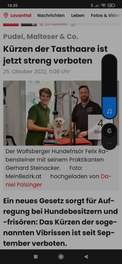 Schneideverbot für Vibrissen-Beitrag-Bild