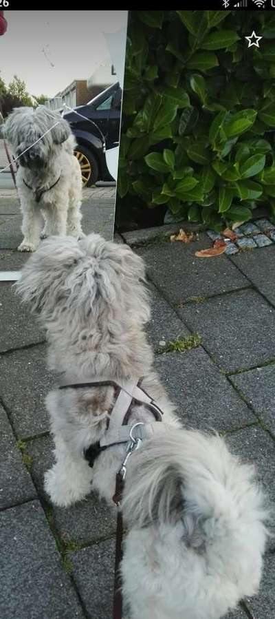 29. Farben Foto Challenge -
Silber glänzend.-Beitrag-Bild