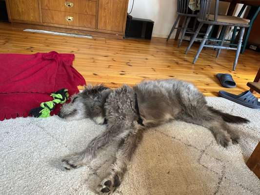 Gibts hier Mioritic Besitzer?-Beitrag-Bild