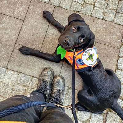 Dogorama Photo Challenge - Der Frühling kommt-Beitrag-Bild