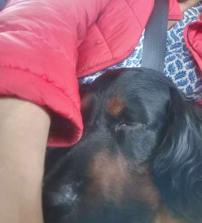 Neuroendokriner Tumor/ Dendtritische zelltherapie / Bestrahlung-Beitrag-Bild