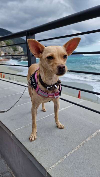 23. Farben / Fotochallenge - Türkis --Beitrag-Bild