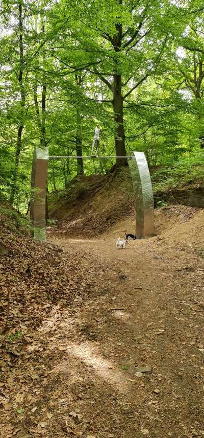 Hundeauslaufgebiet-Waldgebiet Blauer See /Erlenloch-Bild