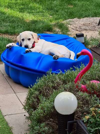 Foto Challenge - BEENDET - bitte aktuelle Challenge nutzen-Beitrag-Bild