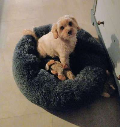 19. Farben  Fottochallenge :
Lieblingsfarbe-Beitrag-Bild