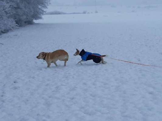 Zeigt mir eure Lieblingsfotos ♡♡-Beitrag-Bild