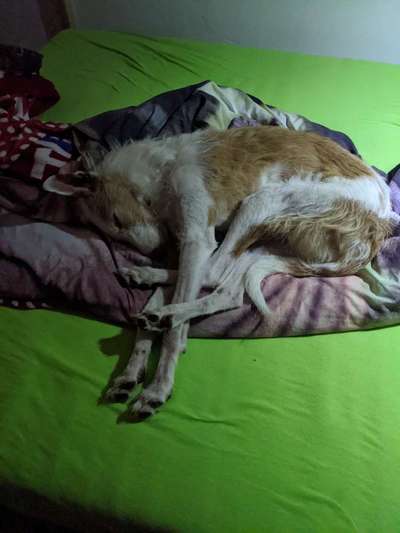 Die unbequemsten und lustigsten Schlafpositionen-Beitrag-Bild