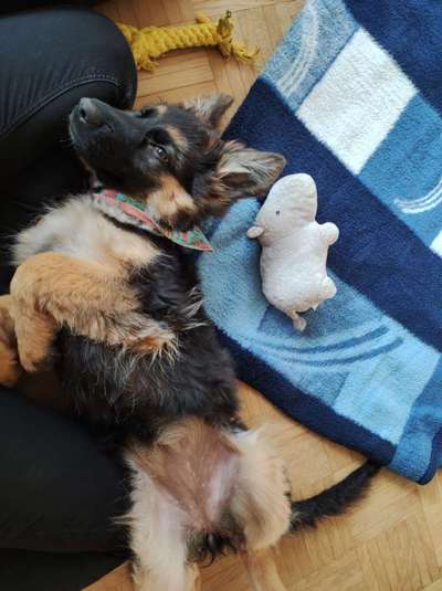 Fotochallenge Nr.65-Beitrag-Bild