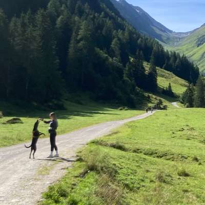 Hundetreffen-Gassirunde-Bild