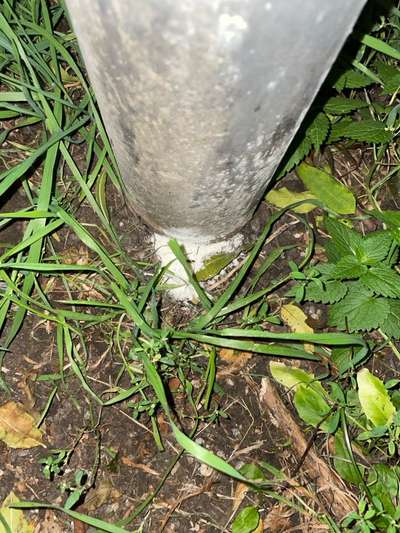 Giftköder-Weißes Pulver an Laternenmasten und Bank-Bild