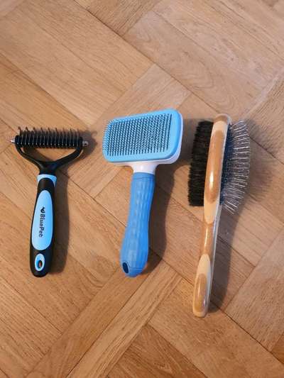 Wie weit darf man dem Zwergspitz sprichwörtlich an sein Fell!!!-Beitrag-Bild