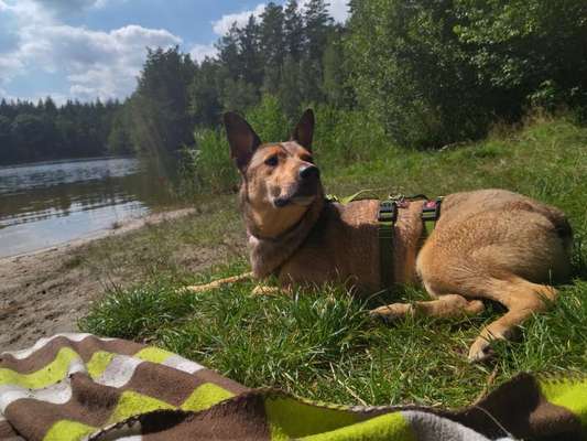 Handy-Foto-Challange Nr.9-Beitrag-Bild