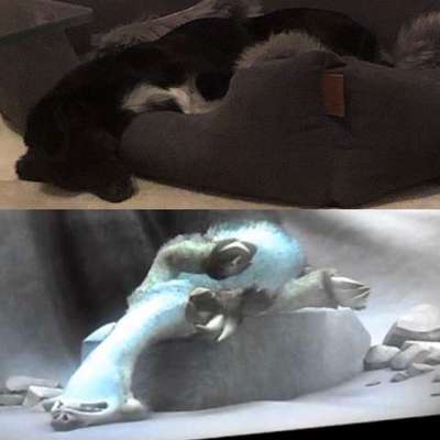 Die unbequemsten und lustigsten Schlafpositionen-Beitrag-Bild