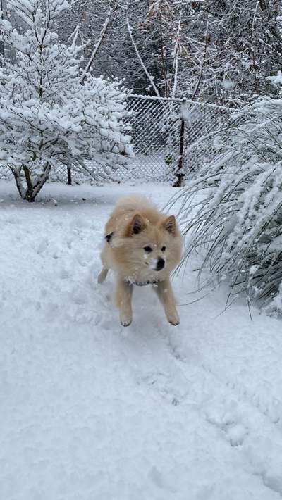 Der erste Schnee, zeigt uns eure tollen Schneemomente-Beitrag-Bild