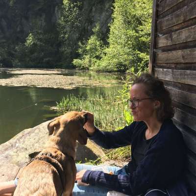 Hundetreffen-Gemeinsame Spaziergänge, vlt bei Sympathie auch Spiel im Garten-Profilbild