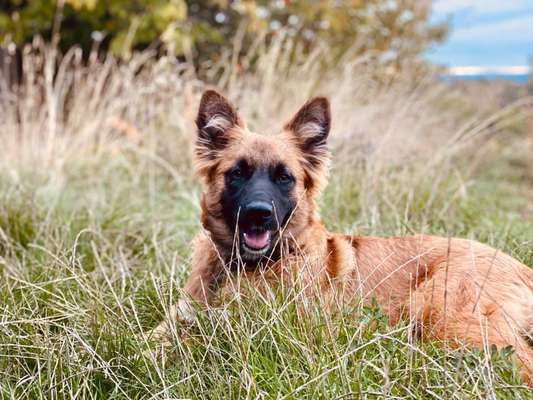 Lieblingsbild-Beitrag-Bild