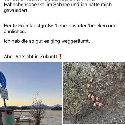 Giftköder-Möglicher Giftköder-Bild