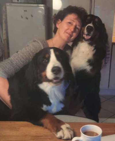 Unsere Fellnasen im Regenbogenland-Beitrag-Bild