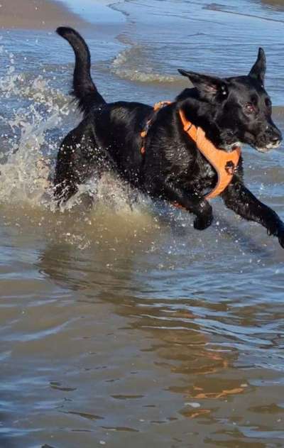 30. Collagen Challenge - Wege/Straßen-Beitrag-Bild