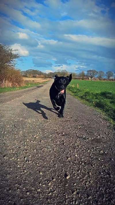 30. Collagen Challenge - Wege/Straßen-Beitrag-Bild