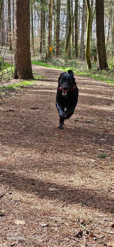 30. Collagen Challenge - Wege/Straßen-Beitrag-Bild