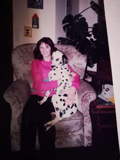 Unsere Fellnasen im Regenbogenland-Beitrag-Bild