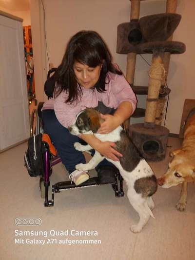 Welpen Bilder !-Beitrag-Bild