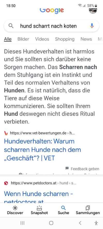 Hündin scharrt nach dem großen Geschäft-Beitrag-Bild