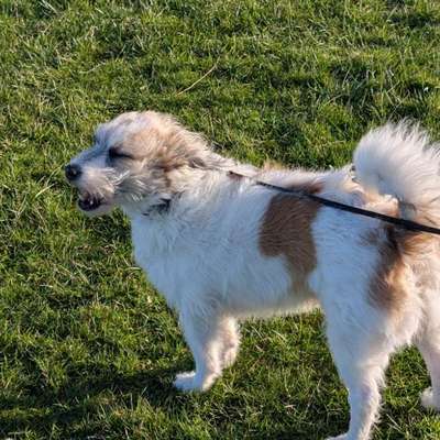 Wie habt ihr den Silvesterabend verbracht?-Beitrag-Bild