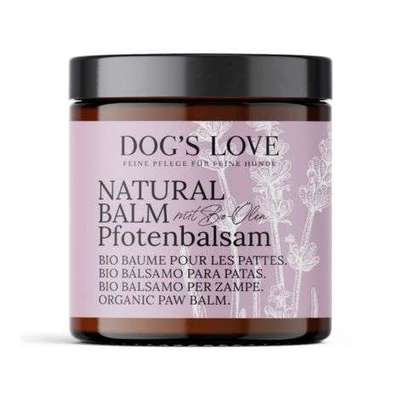 Was tun bei Trockene / Rissige pfoten-Beitrag-Bild