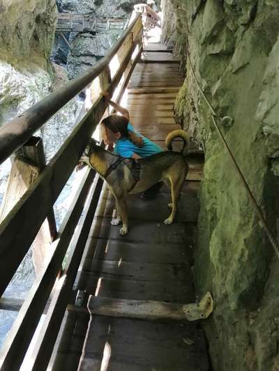 Dogorama Photo Challenge - Tierischer Urlaub-Beitrag-Bild