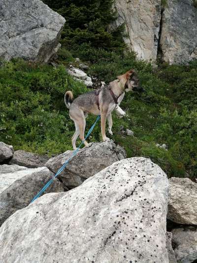 Theos  Fotochallenge Nummer 2-Beitrag-Bild