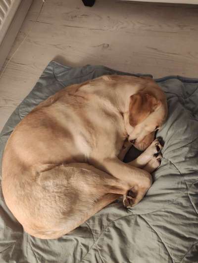 Die unbequemsten und lustigsten Schlafpositionen-Beitrag-Bild