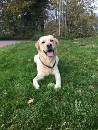 Challenge Nr. 10: "Das schönste Lächeln"-Beitrag-Bild