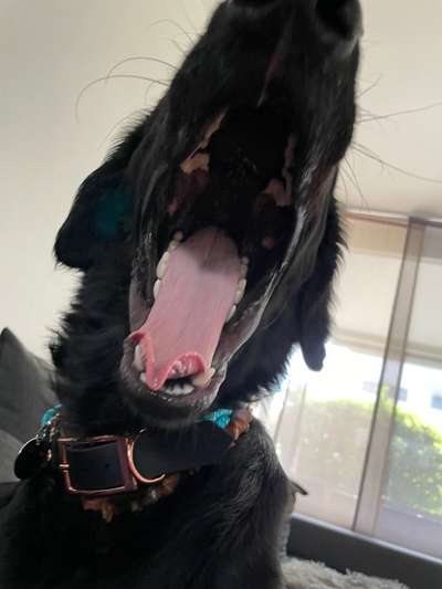 Ratespaß geht weiter-Beitrag-Bild