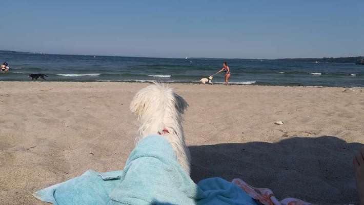 Eure Strandbilder :)-Beitrag-Bild