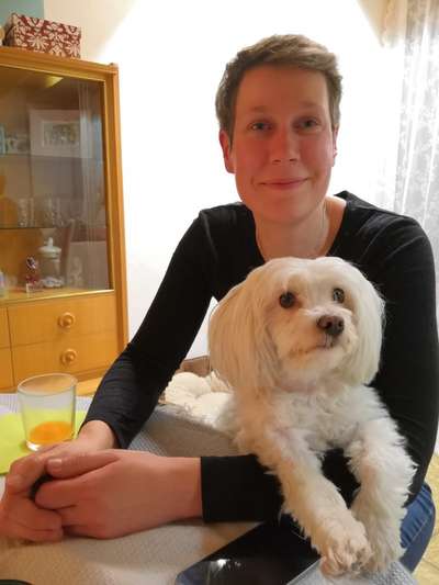 Hundetreffen-Gassi gehen in Unterrath-Bild