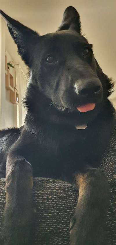 Lieblingsbild :D-Beitrag-Bild