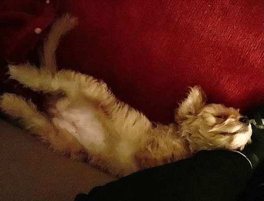 Foto Challenge Nr. 134-Beitrag-Bild