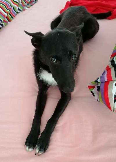 Fotochallange Nr. 6 Die irrsten Blicke-Beitrag-Bild