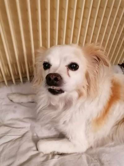 Fotochallenge No. 5-Beitrag-Bild