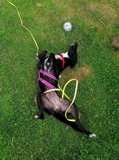 Foto Challenge die Vierte-Beitrag-Bild